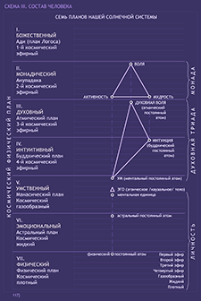 схема 3. Состав человека