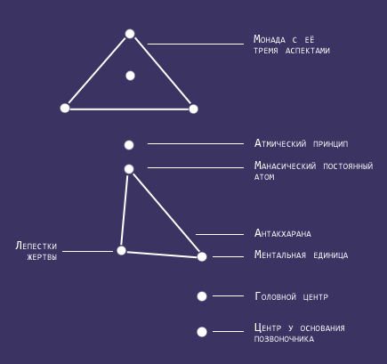 Процесс высшего выравнивания